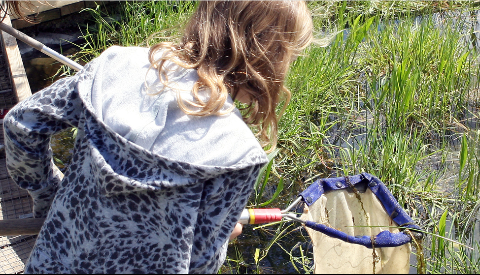 Family Pond Dipping Workshop (morning) - Didcot