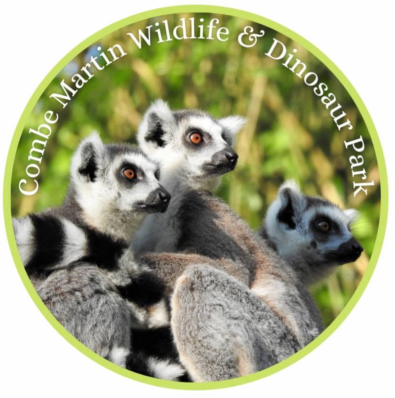 Combe Martin Wildlife & Dinosaur Park