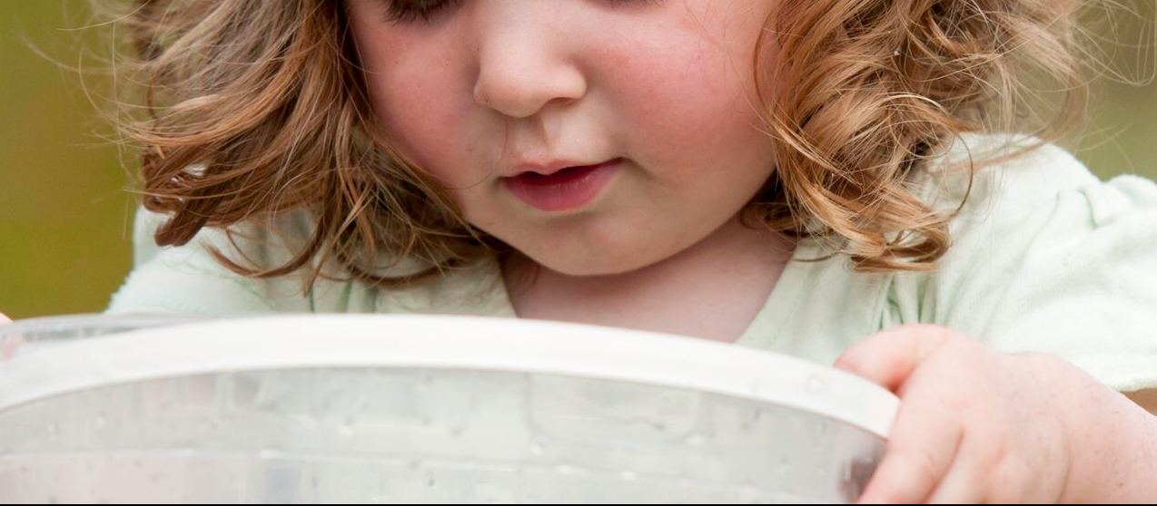 Nature Tots - Woolley Firs