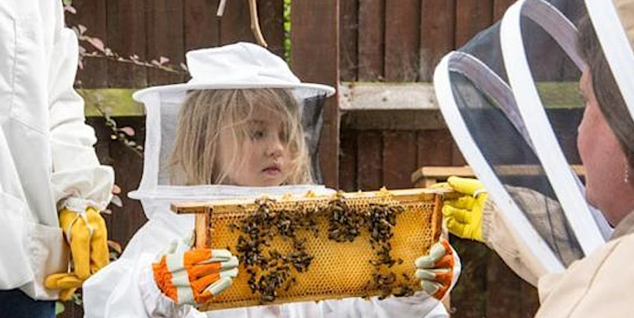 Bees for Children