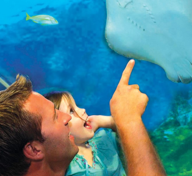 Blue planet aquarium @Aquarium in Ellesmere Port,