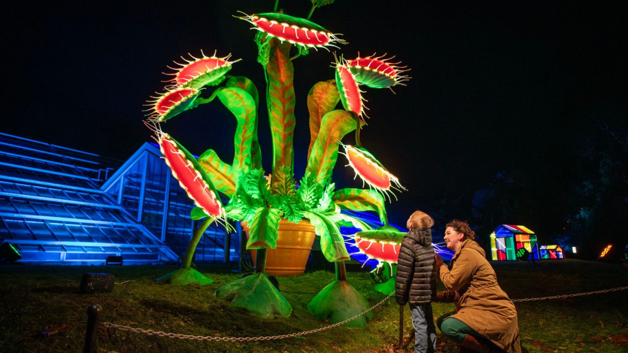 Christmas at Kew