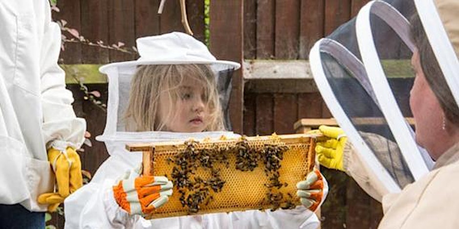 Bees for Children Hen Corner