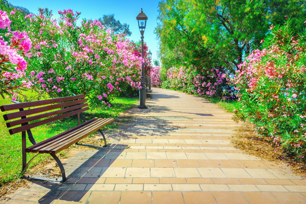 Parks & Gardens